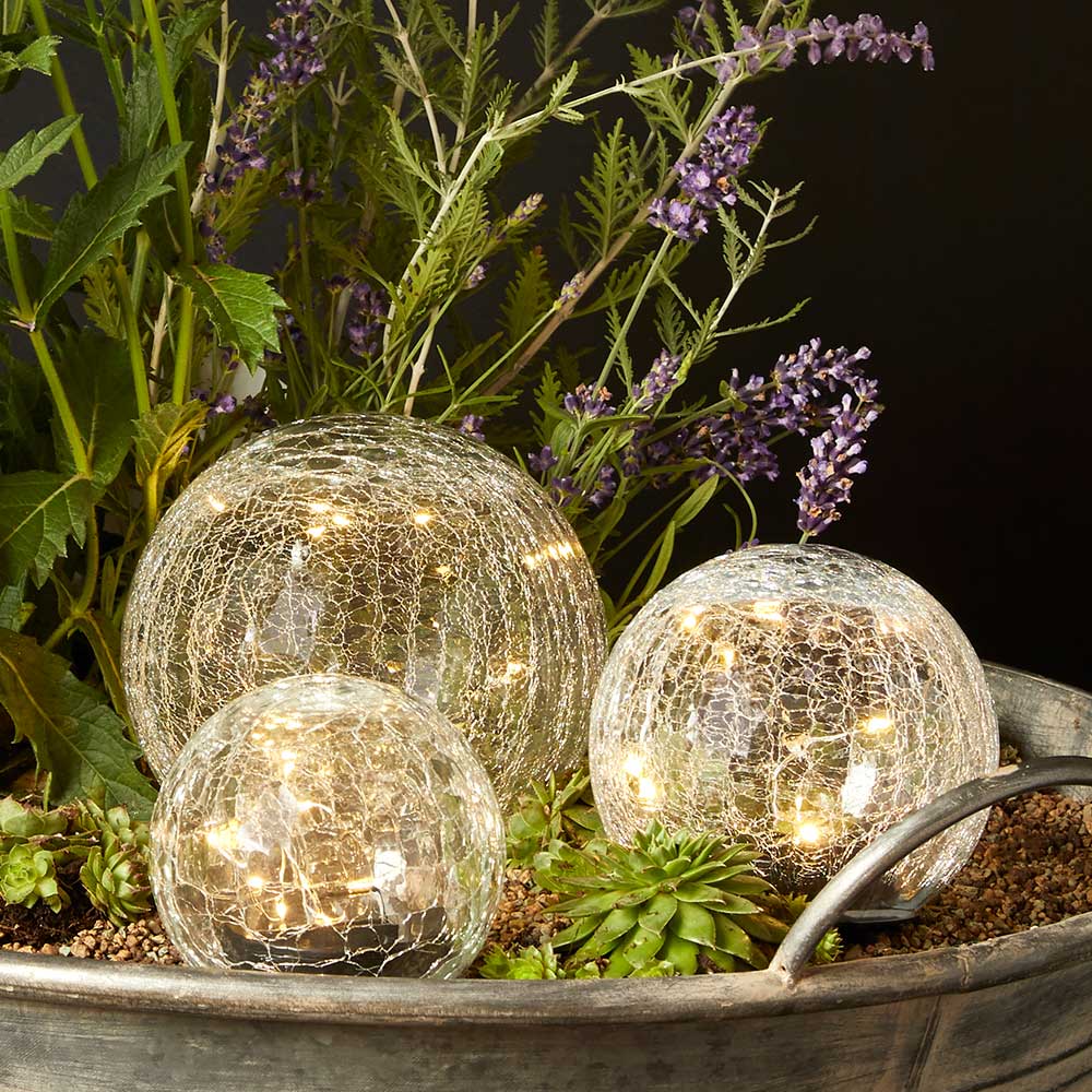 830030_5702568134092_1