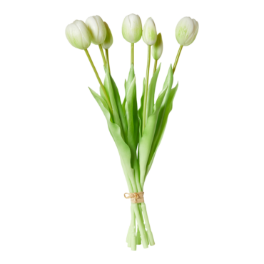 Dacore Tulipaner 5 Stk. 39 cm - Hvid