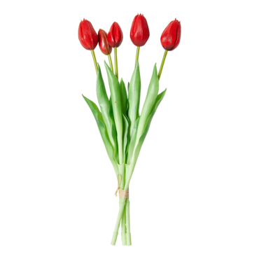 Dacore Tulipaner 5 Stk. 39 cm - Rød