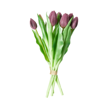 Dacore Tulipaner 7 Stk. 31 cm - Lilla